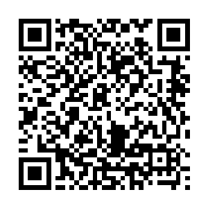 而是拿去抚慰工地上那五个被你们俩害死的无辜工人的二维码生成