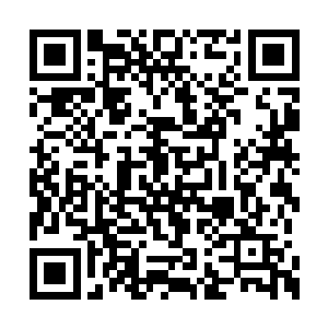 而是拿着手上的大刀就朝着白素仙的脑袋上砍去二维码生成