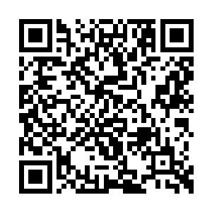 而是指挥着几名看上去很彪悍的混混上去砍莫凡二维码生成