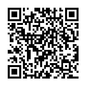 而是按照原来药炉的功能生成的更加强大的全新药炉二维码生成