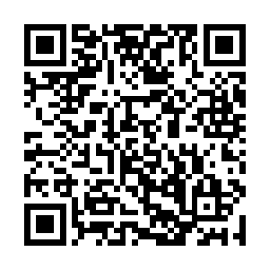 而是掌握驭兽之术的人在他们面前表演的驭兽的本领二维码生成