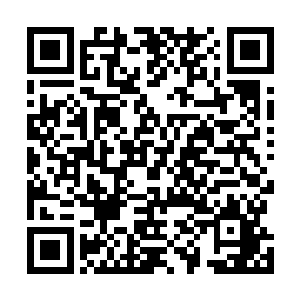 而是摇摇摆摆的走到了贮藏舱边上伸出前鳍拍开了舱盖子二维码生成