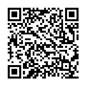 而是敬她好歹也是当日和大宋兄弟之国的嫡系皇室血脉身份二维码生成