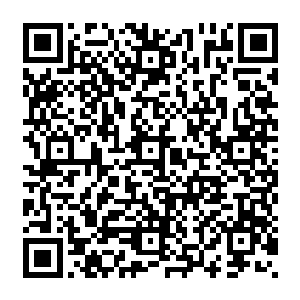 而是整个人连忙冲到那个被张铁一脚踢得像一堆烂泥一样躺在地上不动的骑士冲去……二维码生成