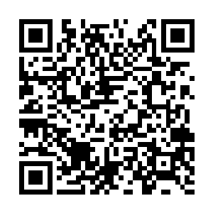 而是早在之前沙浩狼吞虎咽的时候就发现了不对劲二维码生成