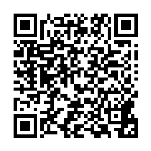 而是有一套科学的评估程序――不管预告片的结果怎么样二维码生成