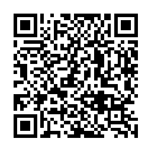 而是有着一圈一圈相互间隔一根手指的距离的古怪环状凸出二维码生成
