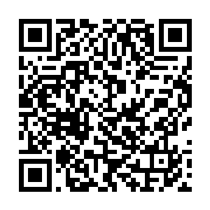 而是有老剑神两袖青蛇和剑冢养育飞剑的雄厚底子在二维码生成