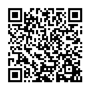 而是服用了风若云给他的一颗不知道名字的果子二维码生成