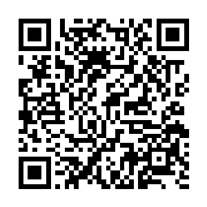 而是李雨彤出于为林烽打造秘密基地的目的上额外加上的二维码生成