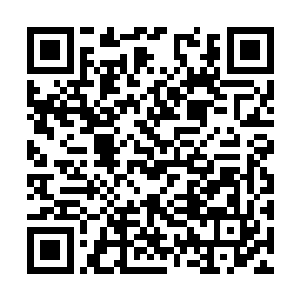 而是没有高手愿意为了老者去得罪庞大的黄埔世家二维码生成