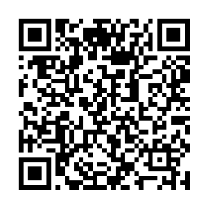 而是独自一人登上了学院核心区域群山中的云海之巅二维码生成