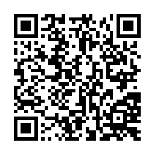而是生活中时时刻刻都能够让人感觉到幸福和安心二维码生成