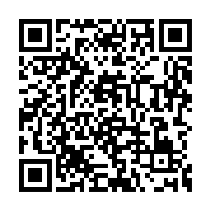 而是生长在温室里从未经历过暴风雨洗礼的花朵二维码生成