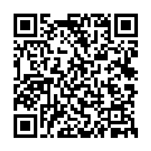 而是由着顾小哥又扯了黑人兄弟身上的一块衣服二维码生成