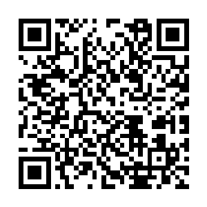 而是疯狂的开始将那一个个重来的僵尸的头颅打碎二维码生成