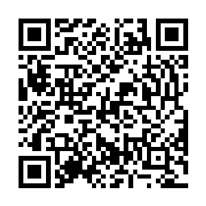 而是盘膝坐在一棵古树的树枝上思索着自己未来的计划二维码生成