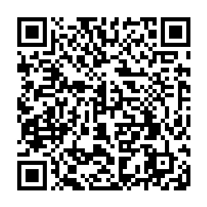 而是目光死死的盯着地上滚落的那几颗明显比上品灵石更加纯净的乳白色的晶体二维码生成