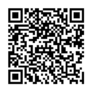 而是直接从空间里取出一个用素色帕子包裹着的东西送上去二维码生成