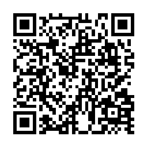 而是直接向着第八档圣级四层的那个石族修士挑战二维码生成