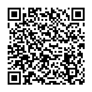 而是直接在脑后的马尾辫上绑了一个鹅黄色白色圆点的蝴蝶结发绳二维码生成