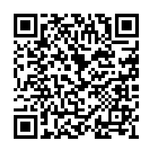 而是直接就回了度假村里面去陪唐菲菲他们去了二维码生成