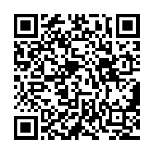 而是直接用了一个顶级军用体术的强大攻击绝招打了过去二维码生成