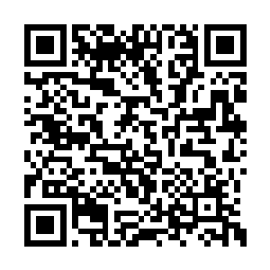 而是看向了蓝玲珑两女在苏林火热的目光注视下二维码生成