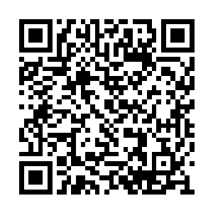 而是真心希望您能让我们商府留下一丝丝的血脉二维码生成