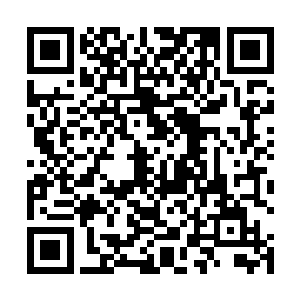 而是真正的在山河社稷图的世界中发展进化出来的生灵二维码生成