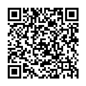 而是硬碰硬地双手直接朝着安德森的两只手腕抓了过去二维码生成