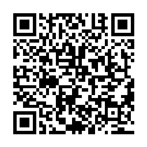 而是祝海山几十年里对蝴蝶效应和缘分因果的感受和认识二维码生成