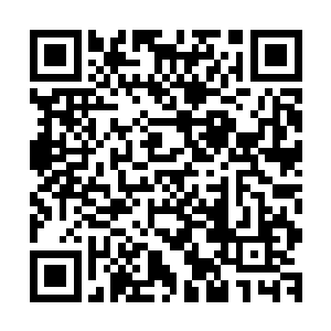 而是稍微逸散之后迅速在他们身后开拓出来的通道里填补起来二维码生成