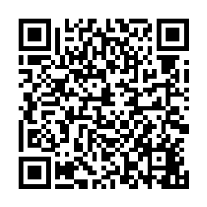 而是立刻化身紫烟空间的天道・开始疯狂地吸收外界的灵气二维码生成