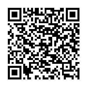 而是维和部队根本就没有开枪的权力和干涉的资格二维码生成