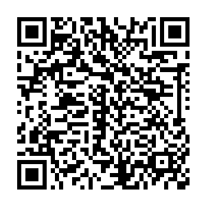 而是考虑到有指南监督和为以后对付外来敌人留下尽可能多的打手二维码生成