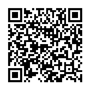 而是聂云的大衍天机剑配合独特界域的力量实在太强了二维码生成