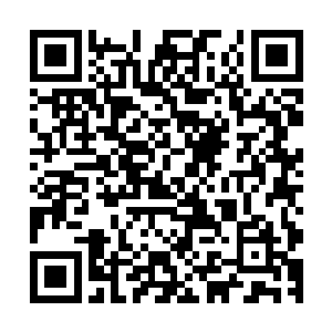 而是联军指挥部和云集在赛尔内斯前线的这500多万的人族部队二维码生成