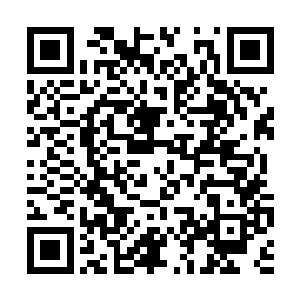 而是脑海中闪过了当初抢夺苗毅那两枚仙果的情形二维码生成