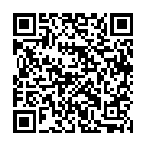 而是脸上露出一丝楚楚可怜的神情地望着那个工作人员二维码生成