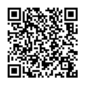 而是自己本体灵魂已经完全凝聚实体真身的强大掌控者二维码生成