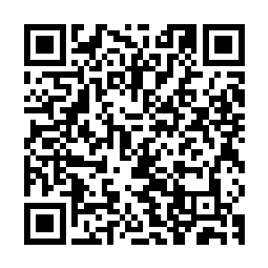 而是苍云圣火运用自身无尽幻化之能拓印出部分真身威能的存在二维码生成