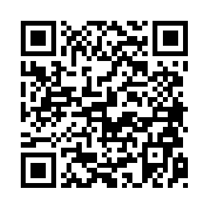 而是菩提树大成之后的特有产物――菩提果二维码生成