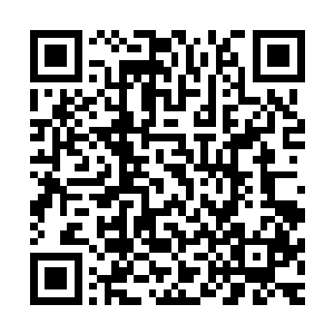 而是蒋若茵打算带着大家一起逃亡毕竟东佛不念实在是太强大二维码生成