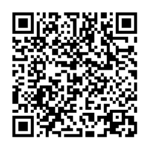 而是被巴克那一巴掌带着跌跌撞撞一头扎进前面的一辆越野车较高的后窗玻璃上二维码生成