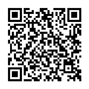 而是被罗楼用秘法连续击打出来的暂时不能动弹二维码生成