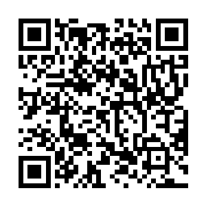 而是觉得既然连苏幕遮都因为不想伤害薄荷选择了隐瞒二维码生成