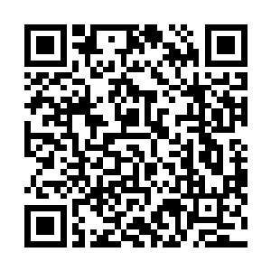 而是让无数痛苦挣扎的神魂从畸形变异的身体里解脱出来二维码生成