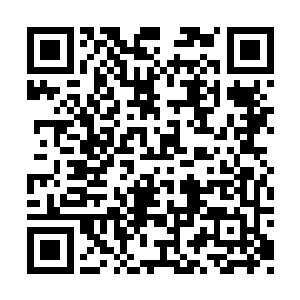 而是说你给我让我自己建立自己实业公司的事情二维码生成