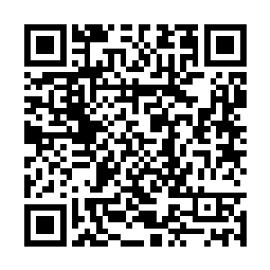 而是踏雪无痕墨角腾云兽吃过的某只魔兽的脊椎骨二维码生成